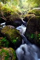 Paysage 25_09_11n01